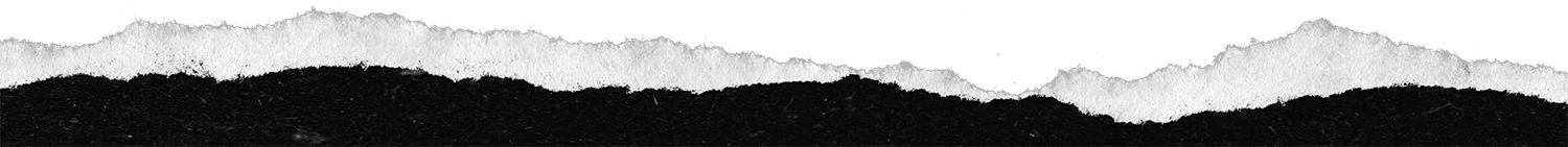 Torn paper to illustrate the start of a new section of this web page.