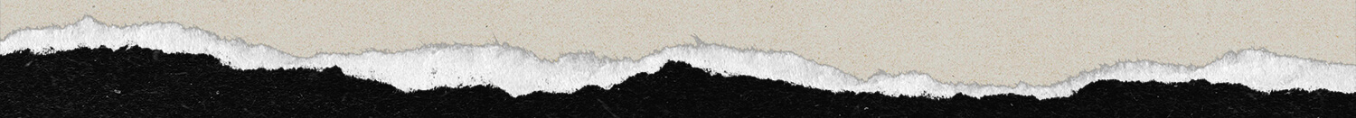 Torn paper to illustrate the start of a new section of this web page.